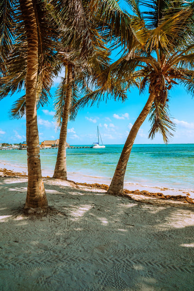 6 Reasons why you should consider Belize for establishing an Asset Protection Trust